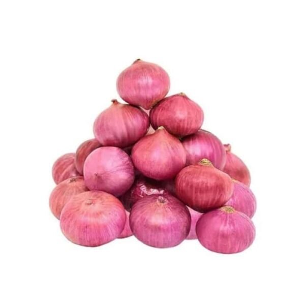 Fresh Onion