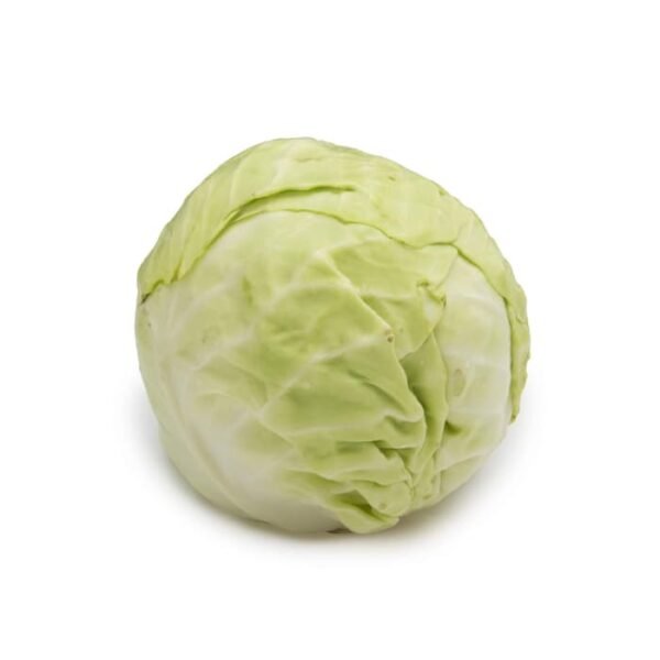 Fresh Cabbage